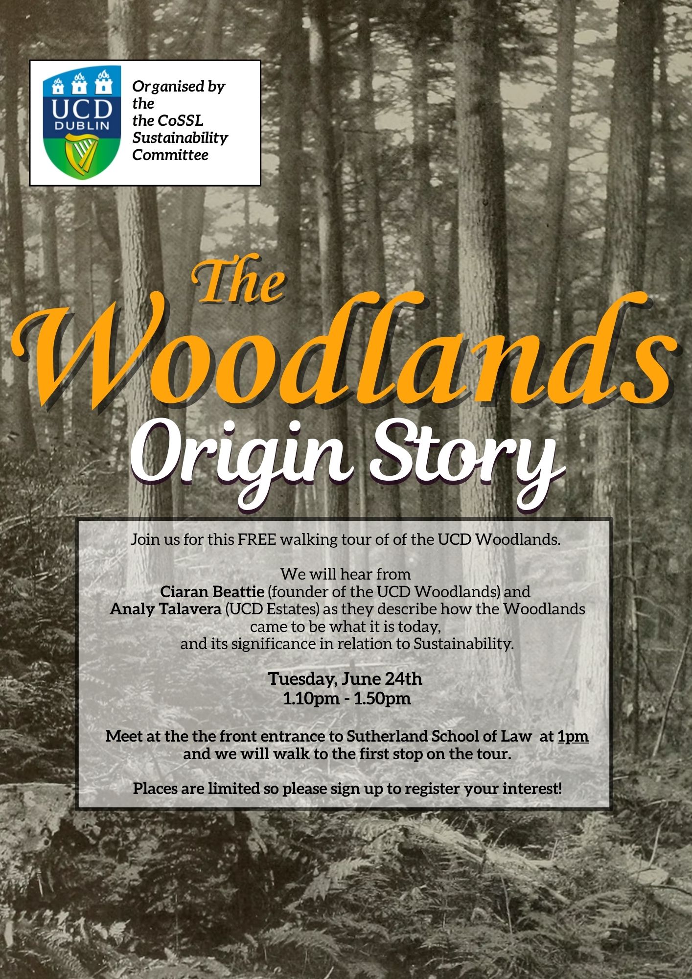 Woodlands - Origin Story